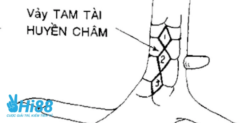 Có nhiều loại vảy gà quý nên cần lựa chọn kỹ càng